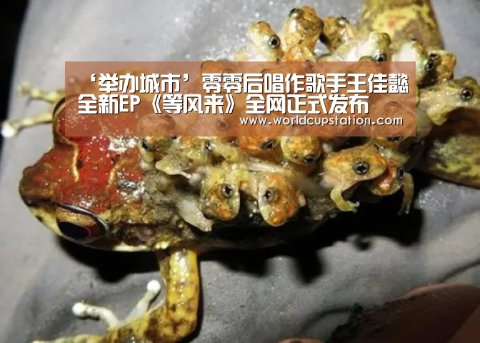 ‘举办城市’零零后唱作歌手王佳懿全新EP